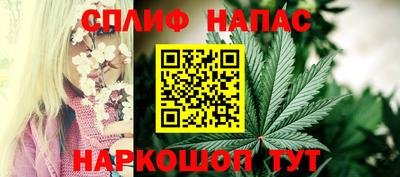 шишки Изобильный
