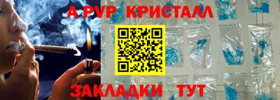 шишки Изобильный