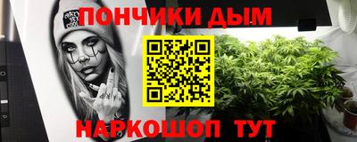 шишки Изобильный