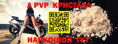 шишки Изобильный