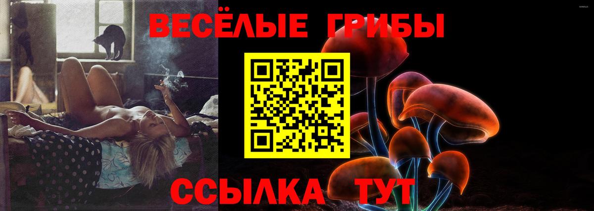 Псилоцибиновые грибы ЛСД  Псилоцибиновые грибы MAGIC MUSHROOMS  Вход с VPN  Лыткарино 